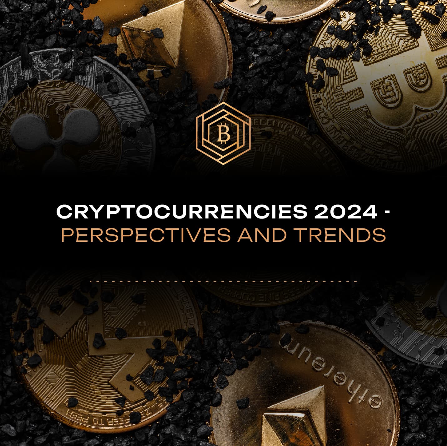 Cryptocurrencies 2024 - Perspectives and Trends
